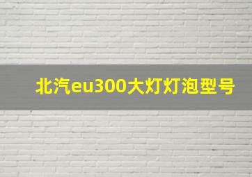 北汽eu300大灯灯泡型号