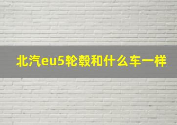 北汽eu5轮毂和什么车一样