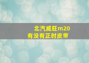 北汽威旺m20有没有正时皮带