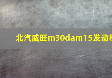 北汽威旺m30dam15发动机