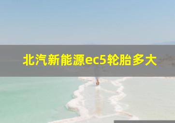 北汽新能源ec5轮胎多大