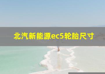 北汽新能源ec5轮胎尺寸