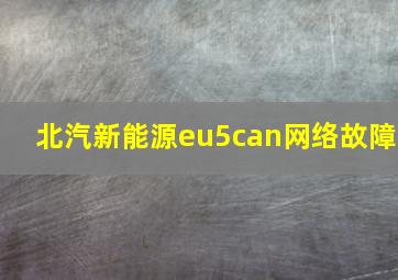 北汽新能源eu5can网络故障