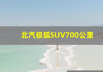 北汽极狐SUV700公里