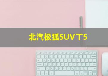 北汽极狐SUV丅5