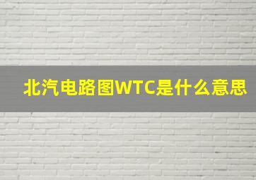 北汽电路图WTC是什么意思