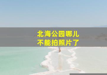 北海公园哪儿不能拍照片了