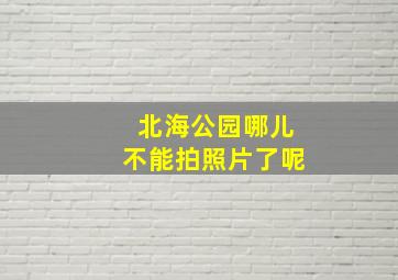 北海公园哪儿不能拍照片了呢