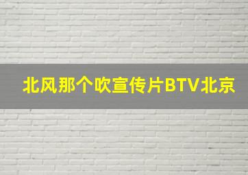 北风那个吹宣传片BTV北京