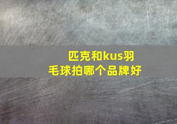 匹克和kus羽毛球拍哪个品牌好