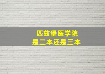 匹兹堡医学院是二本还是三本