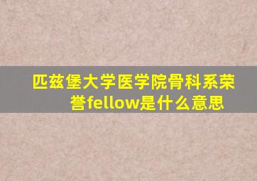 匹兹堡大学医学院骨科系荣誉fellow是什么意思