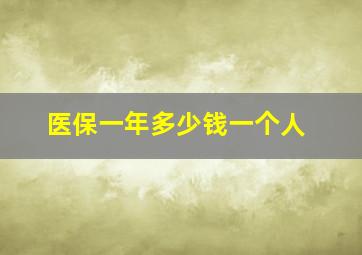 医保一年多少钱一个人