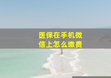 医保在手机微信上怎么缴费