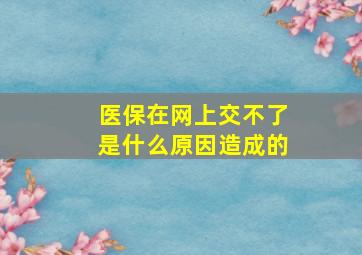 医保在网上交不了是什么原因造成的