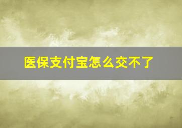 医保支付宝怎么交不了