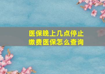 医保晚上几点停止缴费医保怎么查询