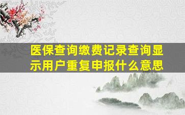 医保查询缴费记录查询显示用户重复申报什么意思