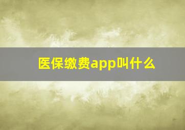 医保缴费app叫什么