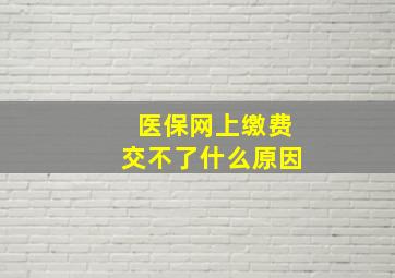 医保网上缴费交不了什么原因