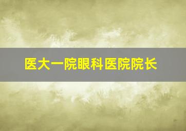 医大一院眼科医院院长