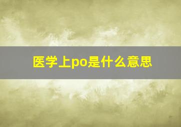 医学上po是什么意思