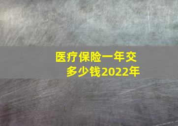 医疗保险一年交多少钱2022年