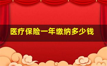 医疗保险一年缴纳多少钱