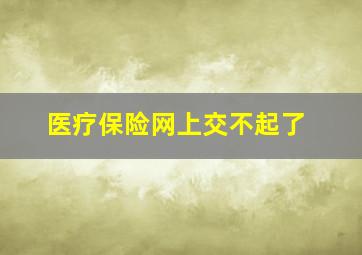 医疗保险网上交不起了