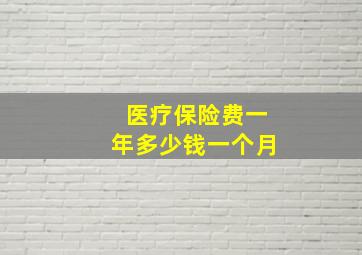 医疗保险费一年多少钱一个月