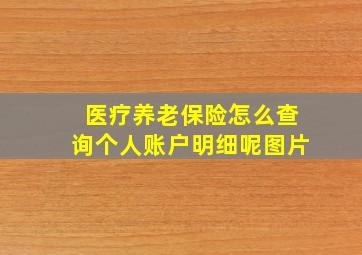 医疗养老保险怎么查询个人账户明细呢图片