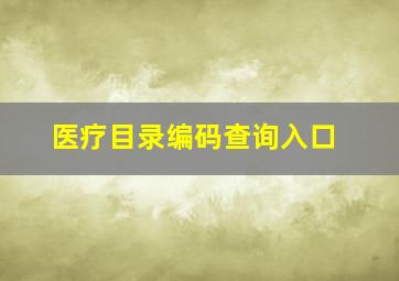 医疗目录编码查询入口