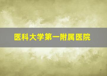 医科大学第一附属医院