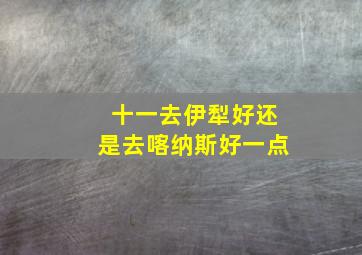 十一去伊犁好还是去喀纳斯好一点