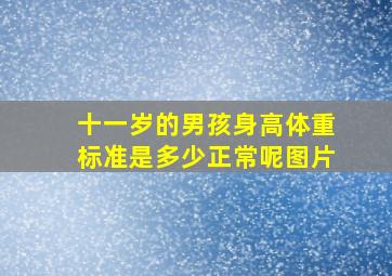 十一岁的男孩身高体重标准是多少正常呢图片