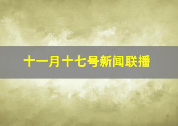 十一月十七号新闻联播