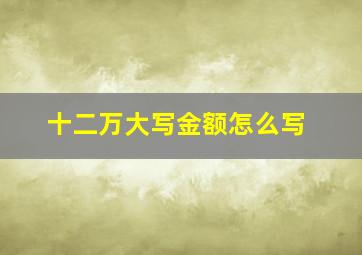 十二万大写金额怎么写