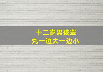 十二岁男孩睾丸一边大一边小