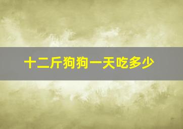 十二斤狗狗一天吃多少