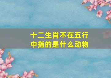 十二生肖不在五行中指的是什么动物