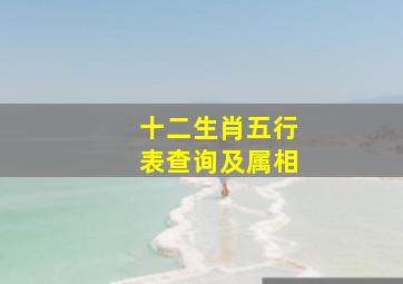 十二生肖五行表查询及属相