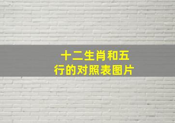 十二生肖和五行的对照表图片