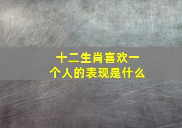 十二生肖喜欢一个人的表现是什么