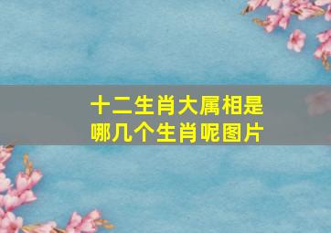 十二生肖大属相是哪几个生肖呢图片