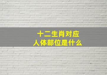 十二生肖对应人体部位是什么