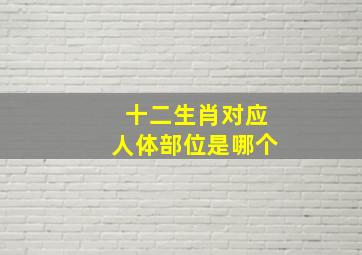 十二生肖对应人体部位是哪个