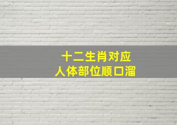 十二生肖对应人体部位顺口溜