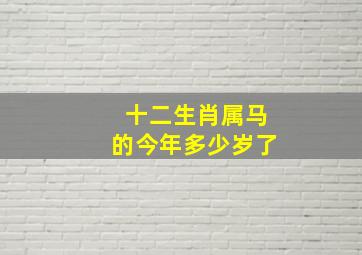 十二生肖属马的今年多少岁了