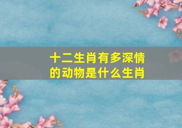 十二生肖有多深情的动物是什么生肖