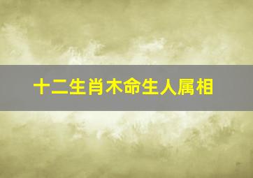 十二生肖木命生人属相